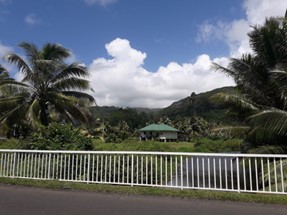 Image14