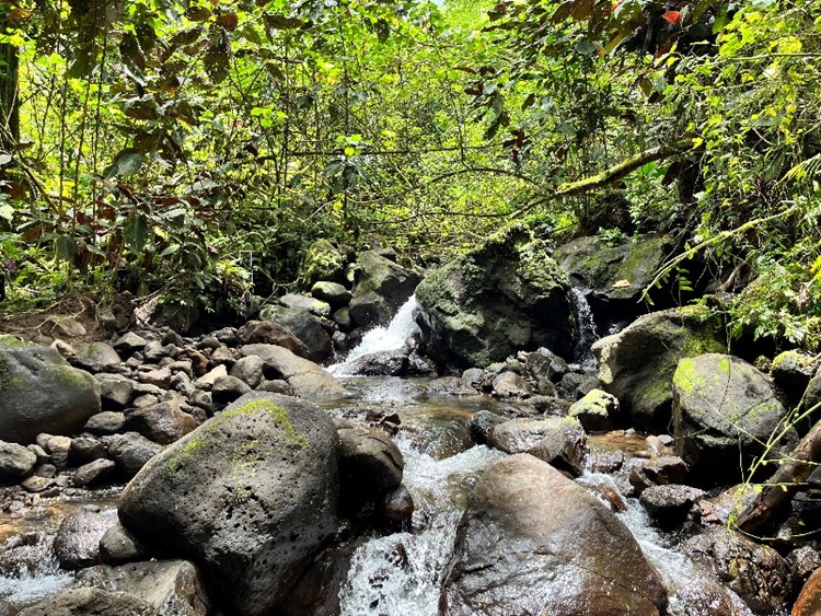 Image11