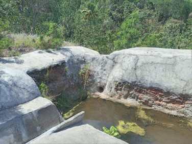 Image15